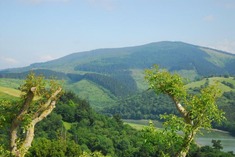 Casa Rural Erretzabal Txiki Pensionat Orio Exteriör bild