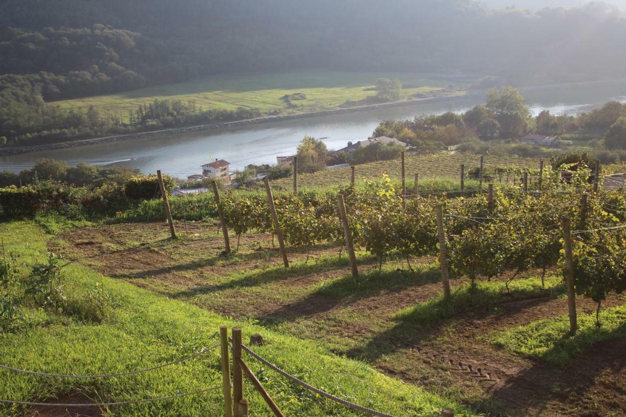 Casa Rural Erretzabal Txiki Pensionat Orio Exteriör bild